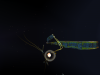 HOMEWORLD 2024-12-01 20-19-09-44